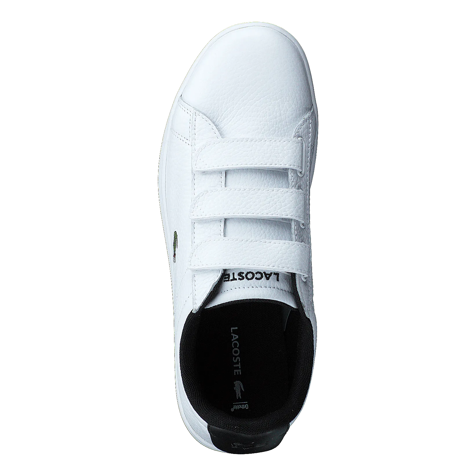 Carnaby Evo Strap 1201sfa Wht/blk