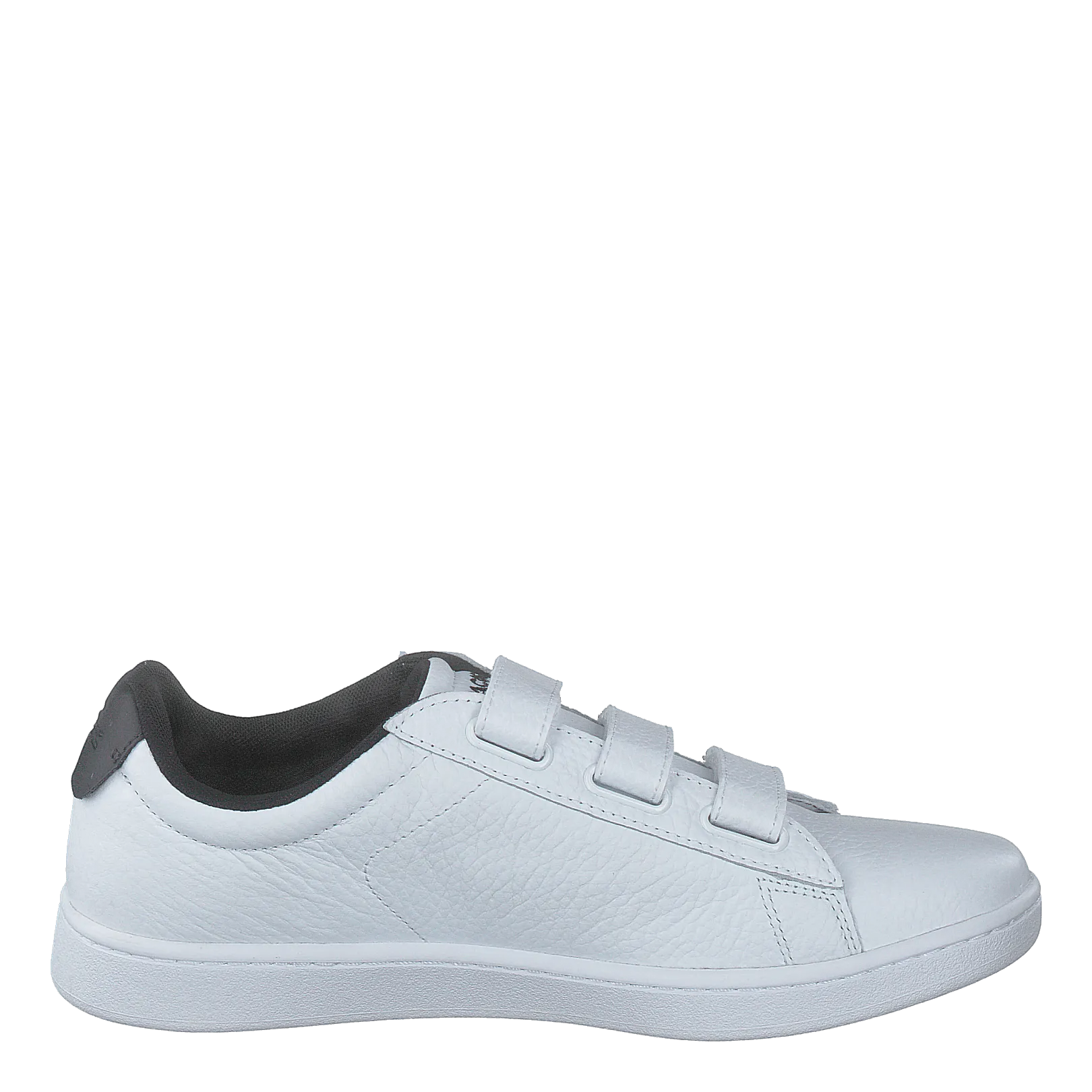 Carnaby Evo Strap 1201sfa Wht/blk