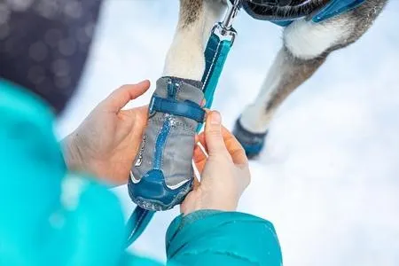 RC Pets Arctic Boot